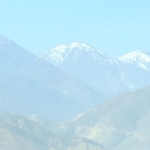 Meet your Posher, Philip